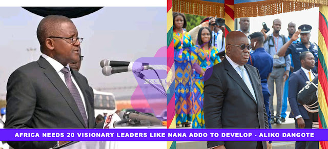 Africa needs 20 visionary leaders like Nana Addo to develop - Aliko Dangote