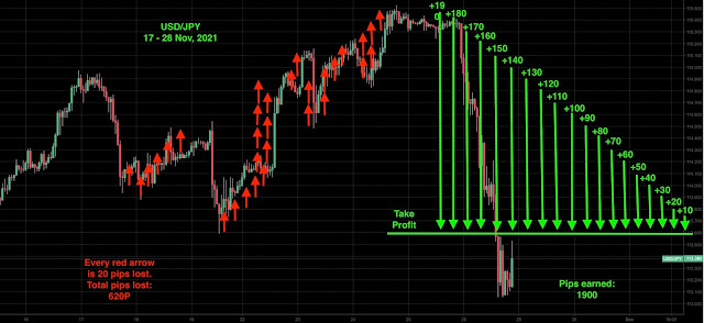 USD/JPY 2021/11/17 - 2021/11/28