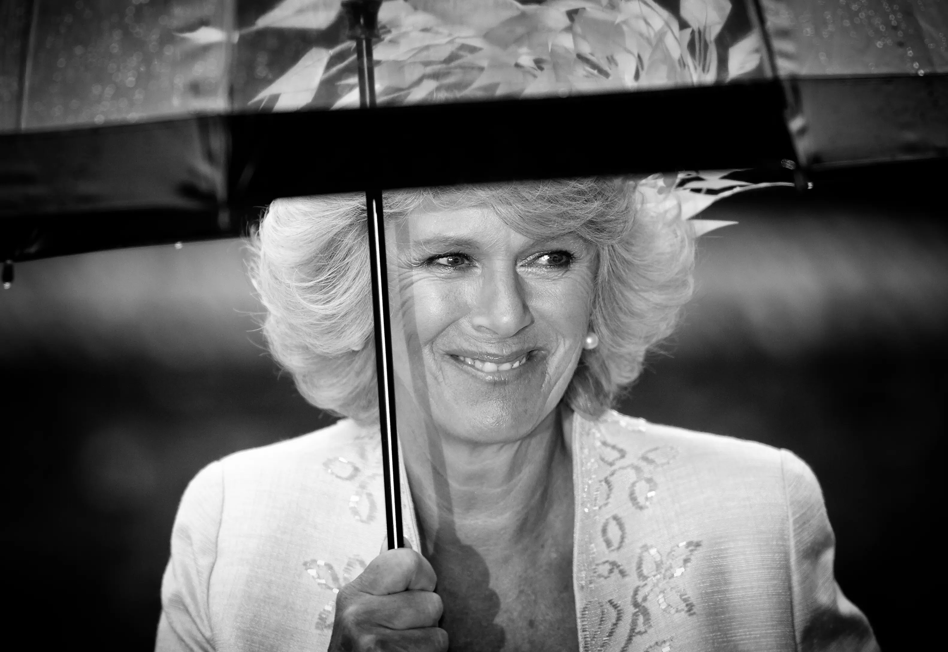 What is Camillaâ€™s Role Now That Queen Elizabeth II Has Died?