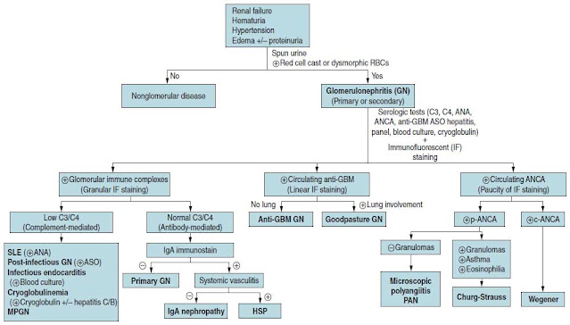 Acute Glomerulonephritis