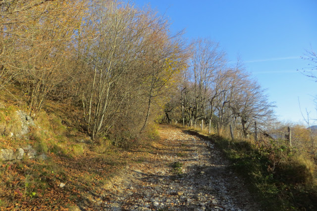 monte novegno come arrivare priaforà