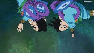 ワンピースアニメ ゾウ編 769話 忍者 雷ぞう RAIZO | ONE PIECE Episode 769