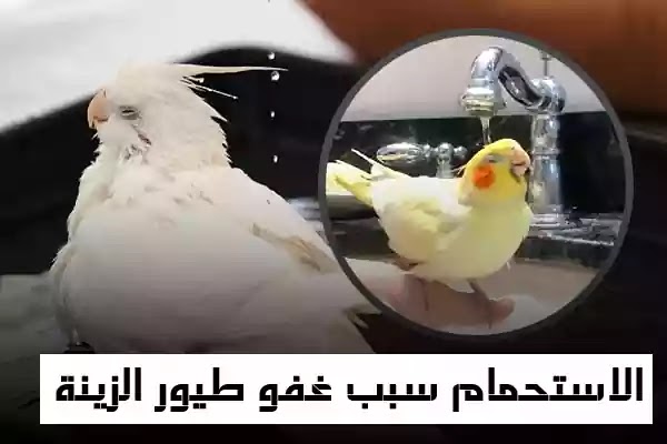 الاستحمام - Nooh Freestyle