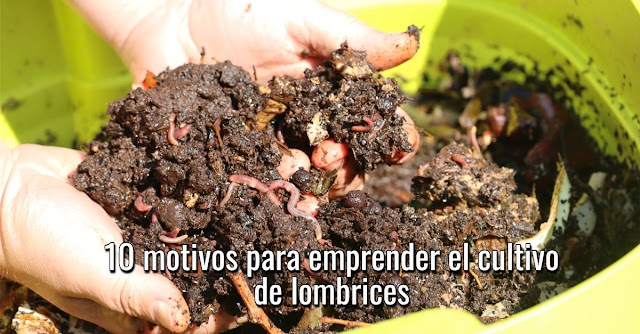 10 motivos para emprender el cultivo de lombrices