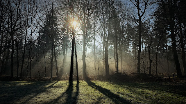 Zonneharpen Prattenburg