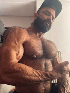 Big Muscle Chest Alpha Males