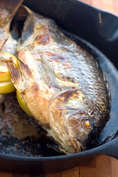 Whole Broiled Tilapia Recipe