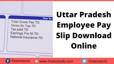 UP Employee Pay Slip Download