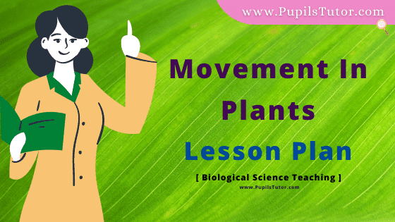 Movement In Plants Lesson Plan For B.Ed, DE.L.ED, BTC, M.Ed 1st 2nd Year And Class 6 to 12th Science And Biology Teacher Free Download PDF On Real School Teaching And Practice Skill In English Medium. - www.pupilstutor.com
