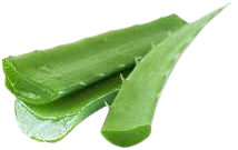 Aloevera-healthnfitnessadvise-blogspot-com