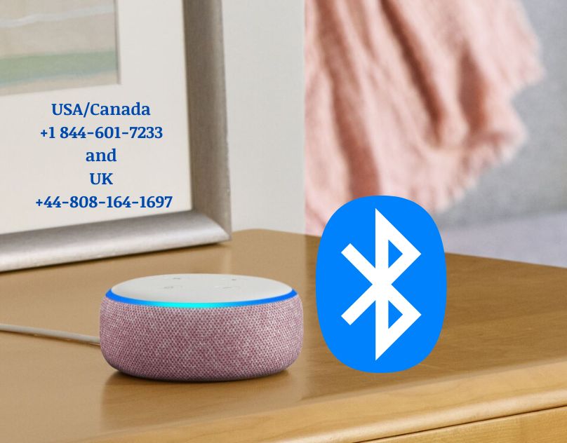 Set Up Alexa Help | Alexa Helpline | Alexa Help Number