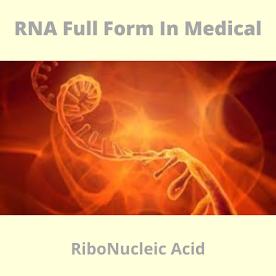 RNA Full Form In Medical