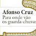Texto sobre "Para Onde Vão os Guarda-chuvas", de Afonso Cruz (Diário Digital)