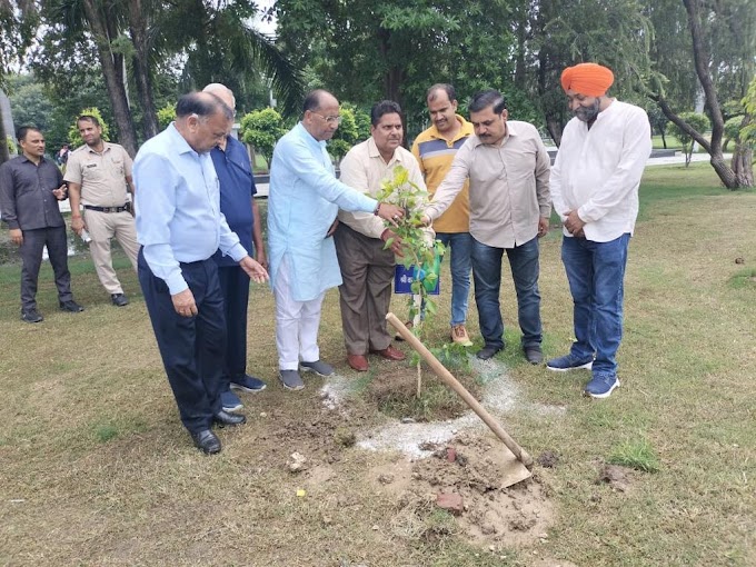 फ़रीदाबाद-हरियाली तीज पर पूजा-पाठ का विशेष महत्व है:भाजपा नेता वजीर सिंह डागर