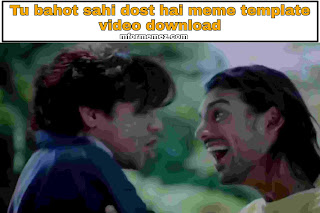 Tu bahot sahi dost hai meme template video download