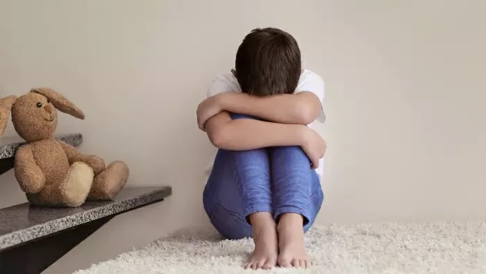 a-13-year-old-boy-was-allegedly-molested-by-a-housewife