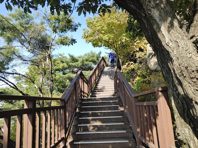 용마산 나무데크