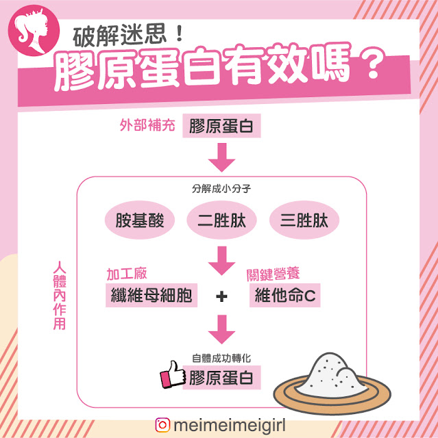 膠原蛋白人體轉化