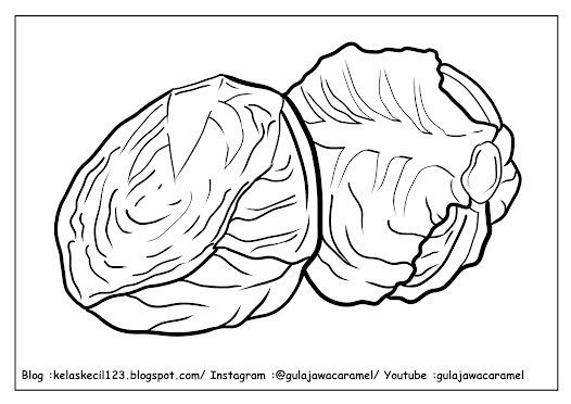 contoh lembar mewarnai tema sayuran untuk anak PAUD/TK/SD