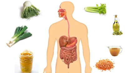 Best Foods For Colon Cleansing