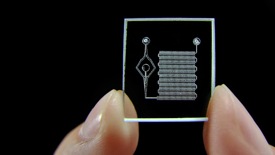 Lab-on-a-chip