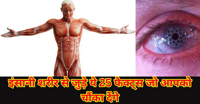 25 Unbelievable Facts of Human Body