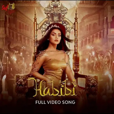 Habibi Song Lyrics (হাবিবি) Nusraat Faria - Habibi Lyrics