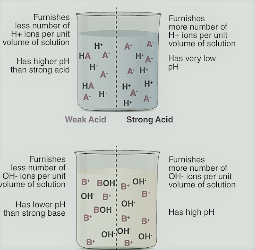 acids bases and salts class 10 notes in hindi