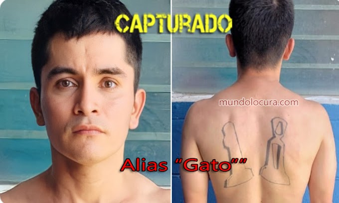 El Salvador: Capturan a alias "Gato": un peligroso terrorista de la 18S con antecedentes desde el 2006