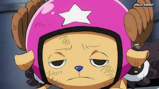 ワンピースアニメ 999話 ワノ国編 | ONE PIECE チョッパー かわいい