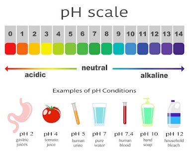 Độ pH là gì? Công thức tính pH là gì? Ý nghĩa của độ pH trong đời sống