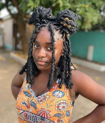 Beautiful Butterfly Locs Hairstyles