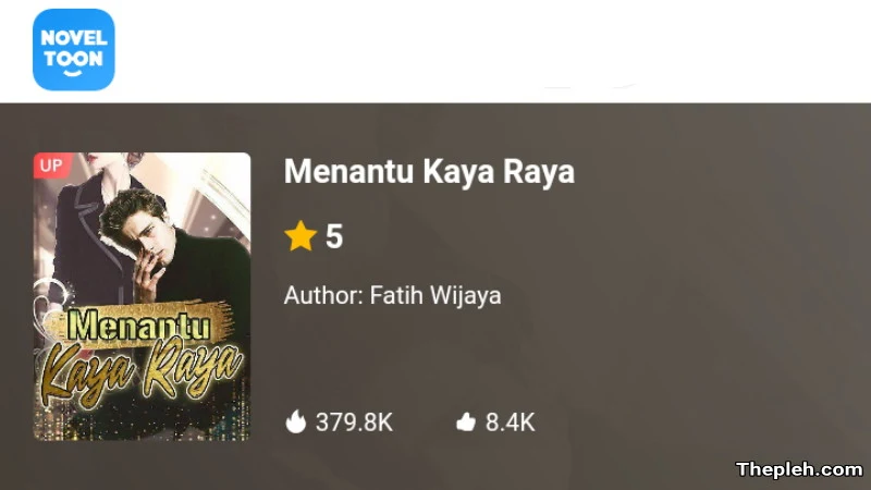 Novel Menantu Kaya Raya