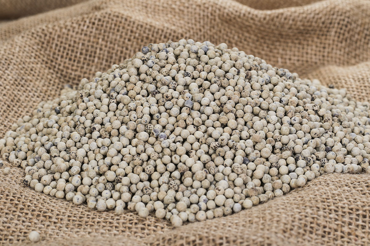 Vietnamese White Pepper