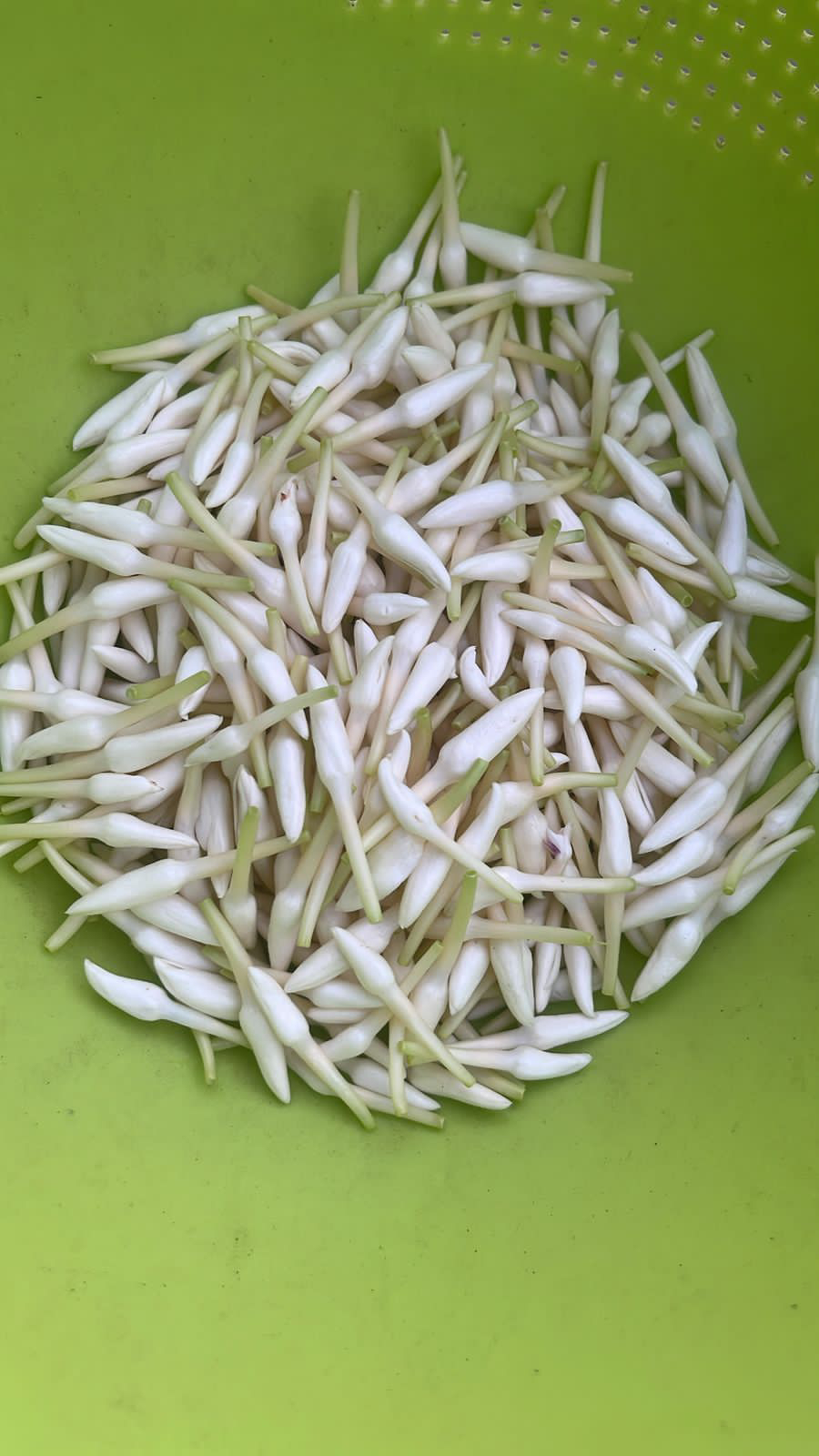 ಇಮೇಜ್