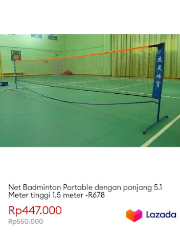 Net Badminton