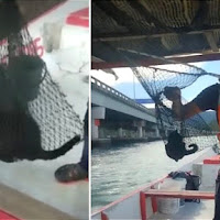 Pemancing Selamatkan Anak Kucing Dicampak Dari Jambatan Pulau Pinang