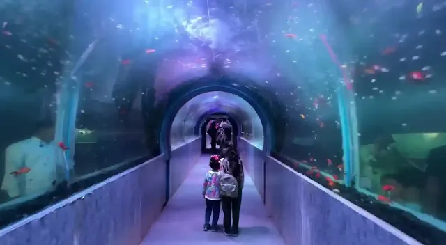 under water tunnel jaipur
