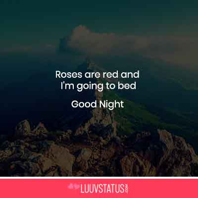 good night status in english