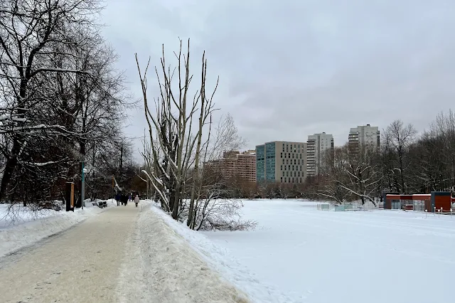 Воронцовский парк, Большой Воронцовский пруд