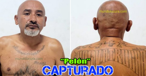 El Salvador: Cayó alias "Pelón": delincuente reclutaba jóvenes para integrarlos a la clica Saylor Locos Salvatruchos