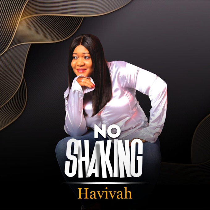 havivah - no shaking mp3 download