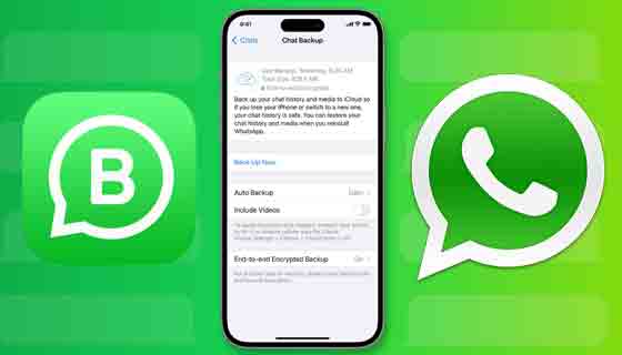 قم بعمل نسخة احتياطية من WhatsApp على iPhone واستعادته