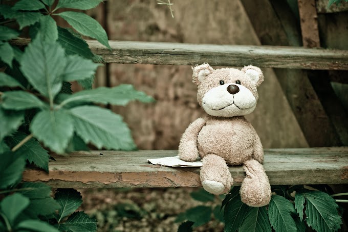 The Rescue of Teddy: How Maya Found Her Lost Teddy Bear