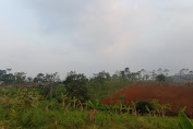 Agraria Institute Cocokan Titik Koordinat Hektaran Tanah Milik Klien Di Sukaresmi