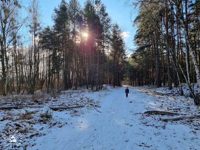 Kampinoski Park Narodowy