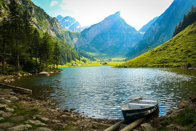 Seealpsee, İsviçre'nin Appenzell Innerrhoden kantonunun Alpstein sıradağlarında bir göldür. 1.143.2 m yükseklikte yüzey alanı 13.6 hektardır. Göle Wasserauen'den veya Ebenalp'tan yürüyerek ulaşılabilir.