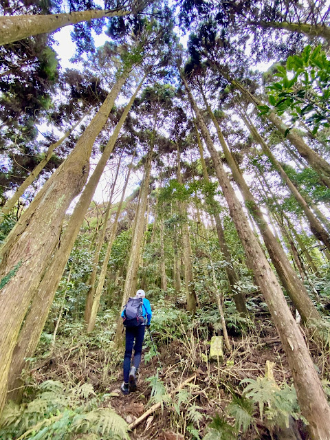 往洗水山北峰