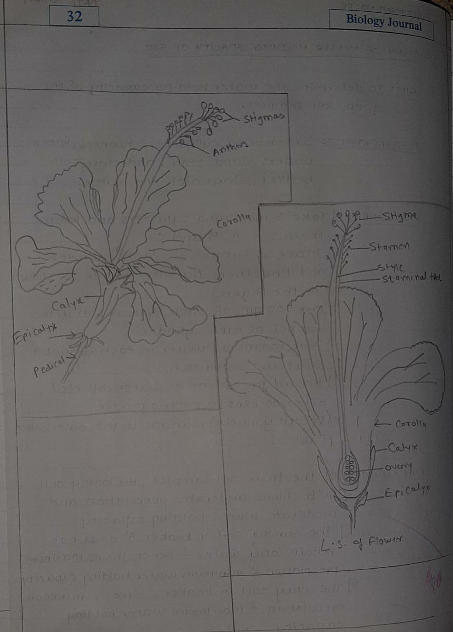 Maharashtra SSC Board 12 Class practical of Biology Journal solutions