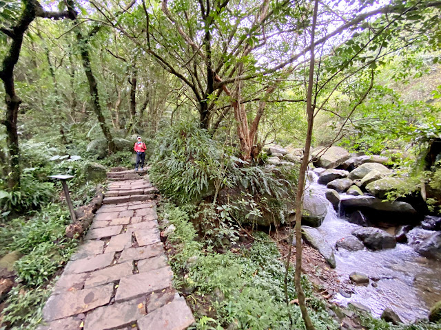 草嶺古道